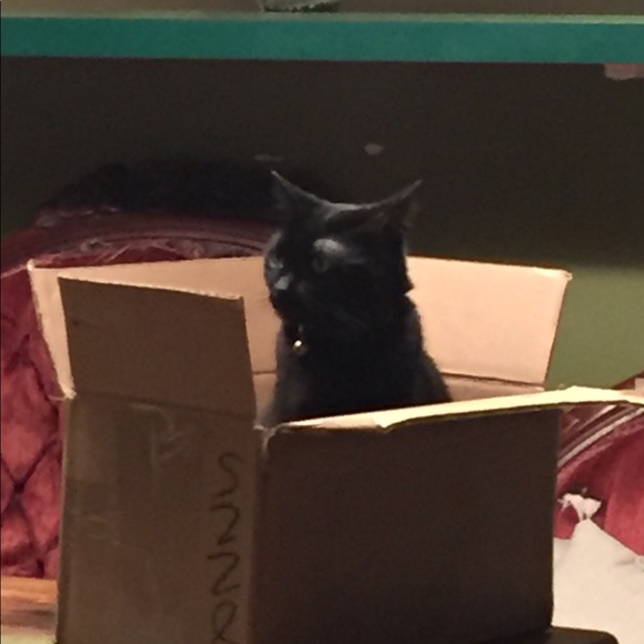 | | S A I N T + H E X | | MAKE AN OFFER & SAVE $$$ - Picture 6 of 8